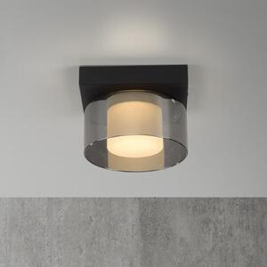 Paul Neuhaus LED φωτιστικό οροφής Rika, Ø 15 cm, γυαλί, με δυνατότητα ρύθμισης, ρυθμιζόμενος, Μαύρο, Σαλόνι / τραπεζαρία, Γυαλί, σύγχρονο