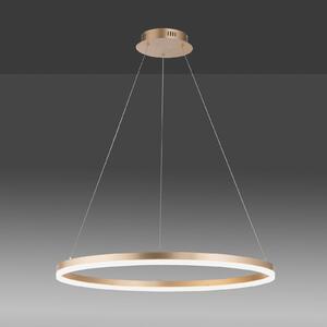 Paul Neuhaus LED κρεμαστό φωτιστικό Titus, Ø 80 cm, ορείχαλκος, με δυνατότητα, ρυθμιζόμενος, Χρυσό / Ορείχαλκου, Σαλόνι / τραπεζαρία, Μέταλλο, σύγχρονο