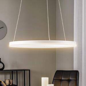 Arcchio Φωτιστικό οροφής LED Albiona, λευκό, 1 δακτύλιος, Ø 60 cm, ρυθμιζόμενος, Λευκό, Κουζίνα, Μέταλλο, σύγχρονο