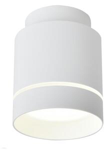 Φως οροφής LED TUBA LED/12W/230V