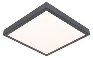 Φως οροφής LED VITALI LED/24W/230V