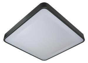 Φωτιστικό οροφής WILTON 2xE27/60W/230V 37,5x37,5 cm μαύρο