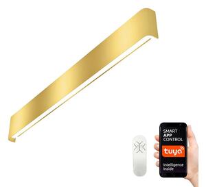 Immax NEO 07137-G - LED SMART Φωτιστικό dimming LINEA LED/40W/230V + RC 76 cm