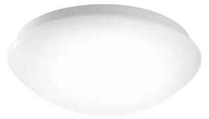 Leuchten Direkt 14243-16 - LED Φωτιστικό οροφής ANDREA LED/8W/230V