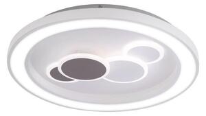 Paul Neuhaus 6284-16 - LED Φωτιστικό οροφής ELIZA LED/55.5W/230V