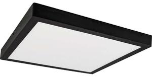 LED Φωτιστικό οροφής FENIX LED/32W/230V 3800K 40 cm