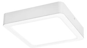 Rabalux 3176 - Φωτιστικό οροφής LED SHAUN LED/24W/230V 22 cm