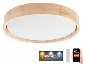 Brilagi - Φωτιστικό οροφής LED MANAROLA SMART LED/24W/230V + RC Tuya