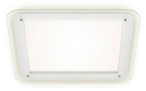 Briloner 3397-016 - Φωτιστικό οροφής LED FREE LED/22W/230V