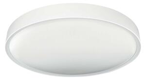 LED Dimmable φωτιστικό οροφής SAMER LED/40W/230V 2900-6000K + RC