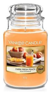 Yankee Candle - Αρωματικό κερί FARM FRESH PEACH μεγάλο 623g 110-150 ώρες