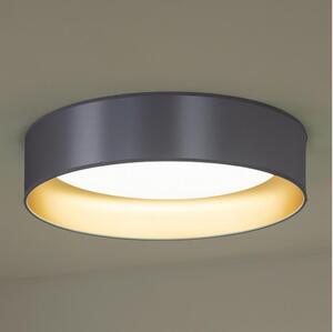 Duolla - Φωτιστικό οροφής LED ROLLER LED/24W/230V ασημί/χρυσαφί