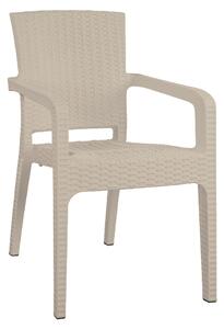 Καρέκλα Κήπου ArteLibre Μπεζ Rattan 58x55x87cm