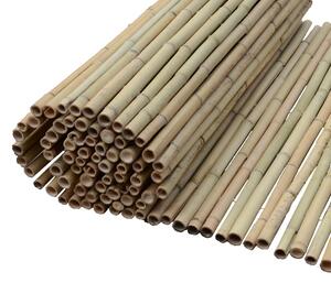 ΚΑΛΑΜΩΤΗ BAMBOO TONKIN ΜΕ ΠΕΡΑΣΤΟ ΣΥΡΜΑ 14-20MM BAMBOO 14-20MM | 250(Υ) X 300ΕΚ