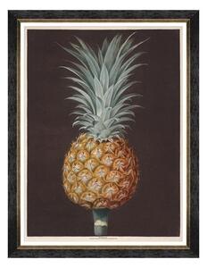 Κάδρο Pineapples Of Antigua - The Antigua Pine By Brookshaw FA13199 60X80 MindTheGap