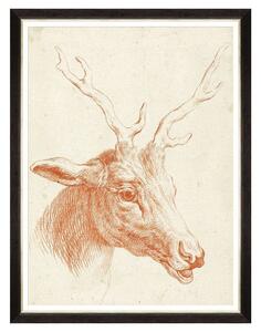 Κάδρο Deer Head FA13240 60x80cm Brown MindTheGap