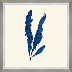 Κάδρο Seaweed Iv Fa13395 70X70Cm White-Blue Mindthegap