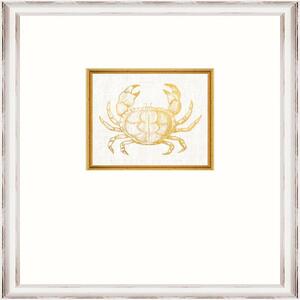 Κάδρο Crab Fa13363 35X45Cm White-Gold Mindthegap