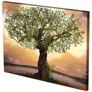 Πίνακας Σε Καμβά MH54 60x80cm Multi