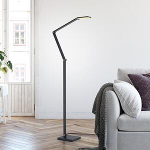 Paul Neuhaus Λάμπα δαπέδου LED SAMSKY, γκρι, ύψος 161 cm, μέταλλο, ρυθμιστής έντασης με αφή, ρυθμιζόμενος, Γκρι, Σαλόνι / τραπεζαρία, Αλουμίνιο, σύγχρονο