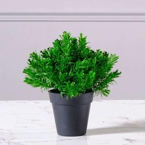 Τεχνητό Φυτό Αρωματικό 8650-6 15x20cm Green Supergreens