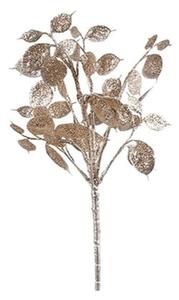 Κλαδί Lunaria 013.793770 40cm Champagne