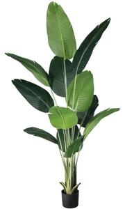 Τεχνητό Φυτό Strelitzia 20026 Φ80x180cm Green-Brown Globostar