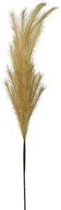 Τεχνητό Φυτό Pampas 00-00-6110-1 117/64cm Natural Marhome