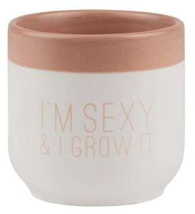 Κασπώ Πήλινο I'm Sexy & I Grow It RD0016842 6,5x6,5cm White-Pink Raeder