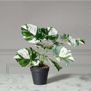 Τεχνητό Φυτό Μονστέρα Albo Variegata 3870-6 45cm Green Supergreens