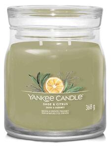 Αρωματικό Κερί Signature Sage & Citrus Medium 1629995E 9,3x11,4cm Green Yankee Candle