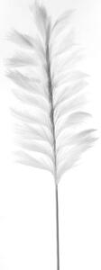 Τεχνητό Κλαδί Pampas Pilosa 9081-7 120cm White Supergreens