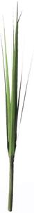 Τεχνητός Χωνευτός Πάπυρος Cyperus 0181-7 88cm Green Supergreens