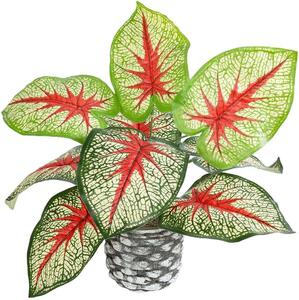 Τεχνητό Φυτό Σε Κασπώ Caladium 20891 Φ40x33cm Multi GloboStar