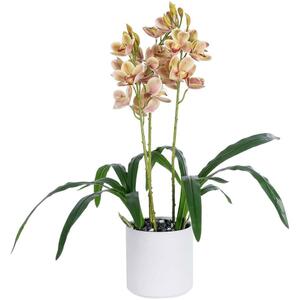 Τεχνητό Φυτό Cherry Cumbidium 21404 Φ34x60cm Champagne GloboStar