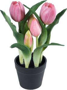 Τεχνητό Φυτό Tulip 21092 Φ22x23cm Pink GloboStar