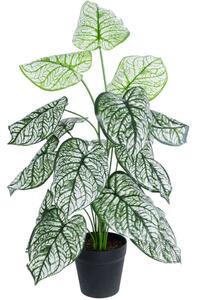 Τεχνητό Φυτό Caladium 20908 Φ60x75cm Green-White GloboStar