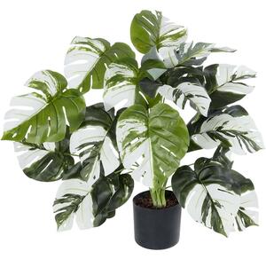 Τεχνητό Φυτό Albino Monstera 20925 Φ70x75cm Green-White GloboStar