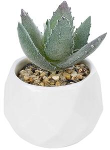 Τεχνητό Φυτό Σε Κασπώ Aloe 20999 Φ7x9cm Green-White GloboStar