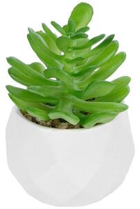 Τεχνητό Φυτό Σε Κασπώ Crassula 20986 Φ6x10cm Green-White GloboStar