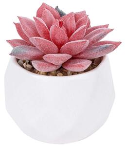 Τεχνητό Φυτό Σε Κασπώ Sedeveria 20989 Φ6,5x8cm Pink-White GloboStar