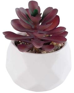 Τεχνητό Φυτό Σε Κασπώ Crassula 21004 Φ7x9,5cm Brown-White GloboStar