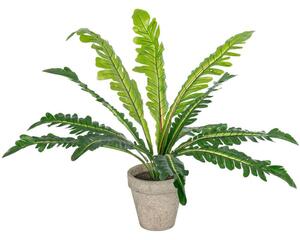 Τεχνητό Φυτό Σε Κασπώ Asplenium 20904 Φ40x33cm Grey-Green GloboStar