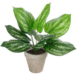 Τεχνητό Φυτό Σε Κασπώ Pothos 20896 Φ40x33cm Grey-Green GloboStar