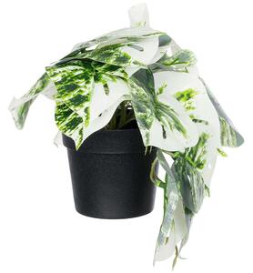 Τεχνητό Φυτό Albino Monstera 20946 Φ23x16cm Green-White GloboStar