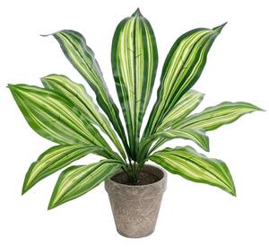 Τεχνητό Φυτό Σε Κασπώ Dracaena 20907 Φ40x33cm Grey-Green GloboStar