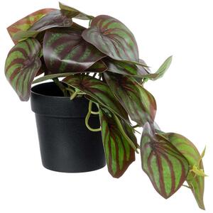 Τεχνητό Φυτό Peperomia 20952 Φ23x16cm Green-Brown GloboStar