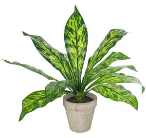 Τεχνητό Φυτό Σε Κασπώ Spathiphyllum 20905 Φ40x33cm Green-Grey GloboStar