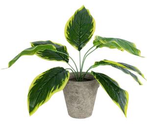 Τεχνητό Φυτό Σε Κασπώ Hosta 20899 Φ45x40cm Multi GloboStar