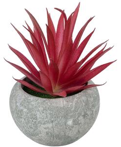 Τεχνητό Φυτό Σε Κασπώ Tillandsia 21035 Φ12x15cm Grey-Red GloboStar